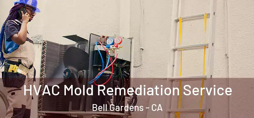  HVAC Mold Remediation Service Bell Gardens - CA