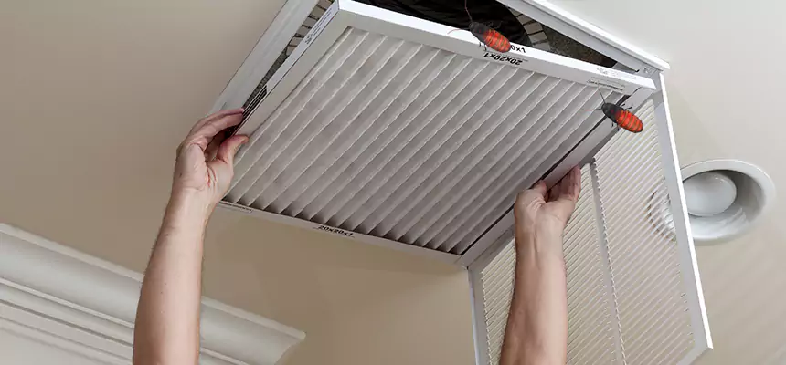 Our Insect Removal from Air Ducts Services in Bell Gardens, CA