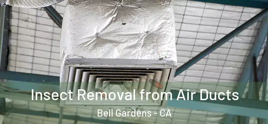  Insect Removal from Air Ducts Bell Gardens - CA