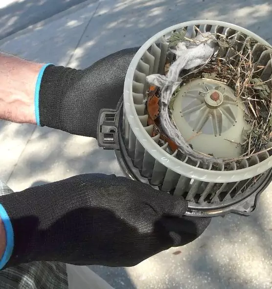 About Air Duct Rat Removal in Bell Gardens, CA