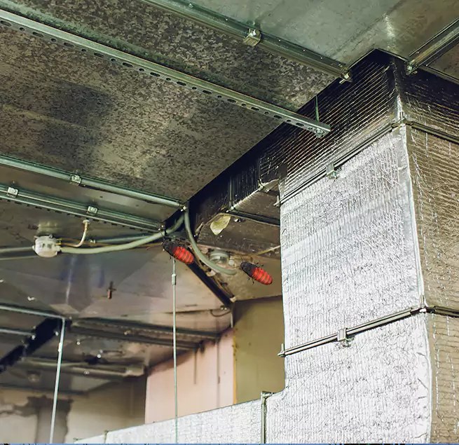 Why Homeowners & Businesses Trust Us in Bell Gardens, CA?